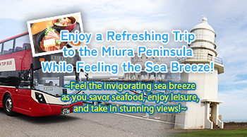 Enjoy a Refreshing Trip to the Miura Peninsula While Feeling the Sea Breeze!