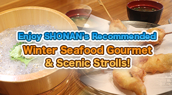 Enjoy SHONAN’s Recommended Winter Seafood Gourmet & Scenic Strolls!