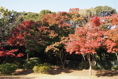 源氏山公園