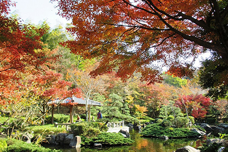 県立大磯城山公園