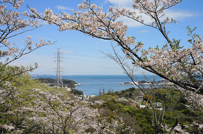 塚山公園のイメージ