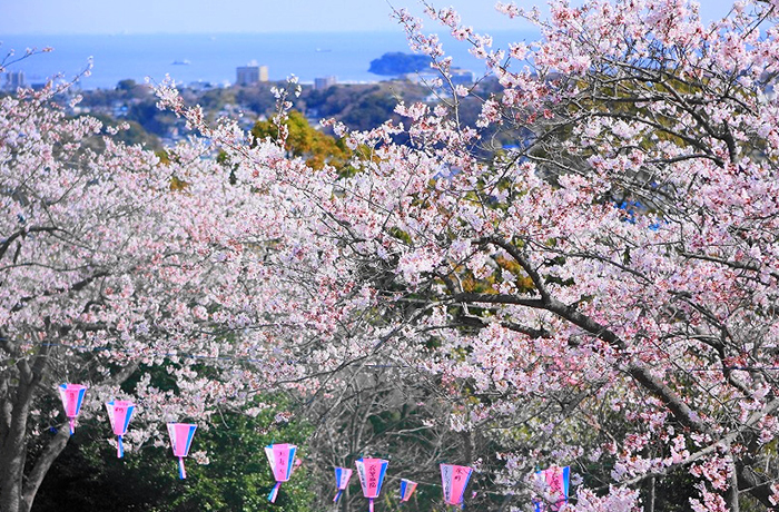 衣笠山公園のイメージ