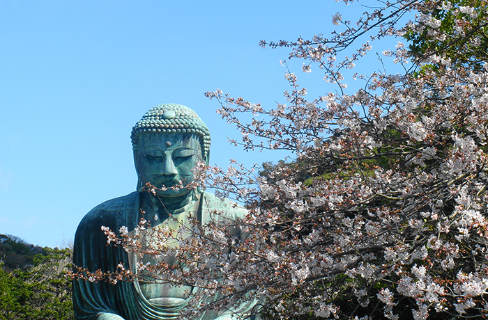 高徳院(鎌倉大仏)のイメージ