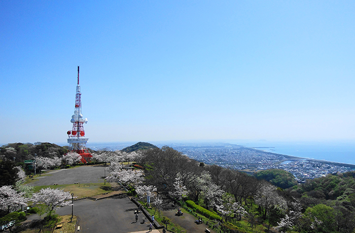 湘南平（高麗山公園）のイメージ