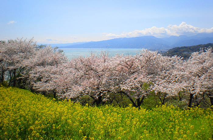 吾妻山公園のイメージ