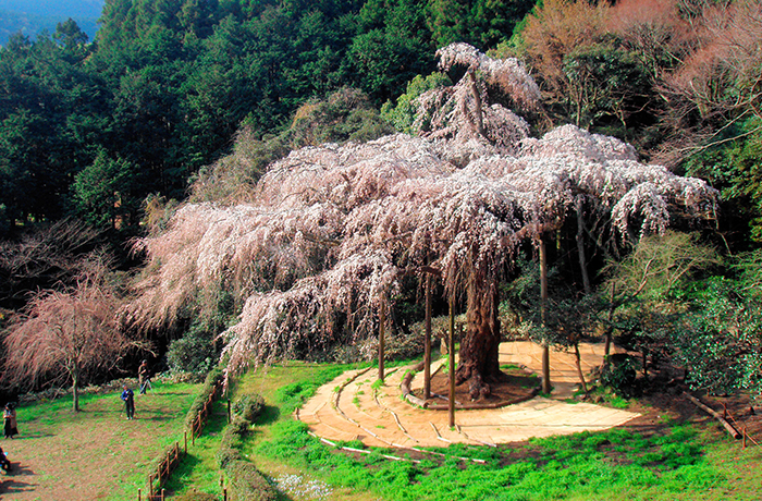 長興山紹太寺のイメージ