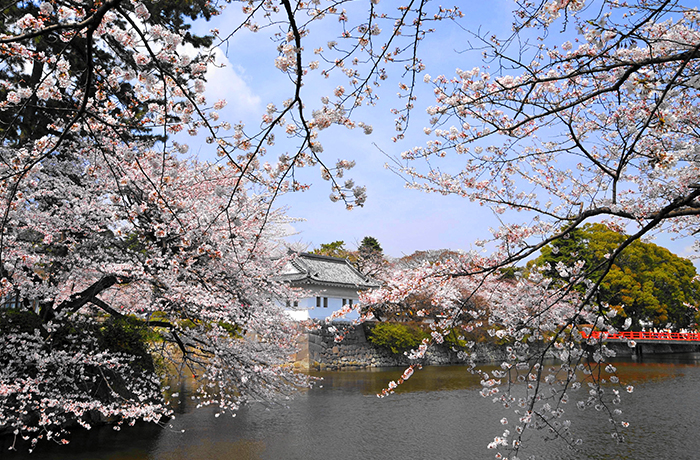 小田原城址公園のイメージ