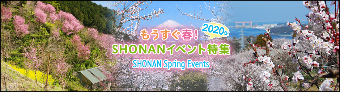 夏のSHONANイベント 2019