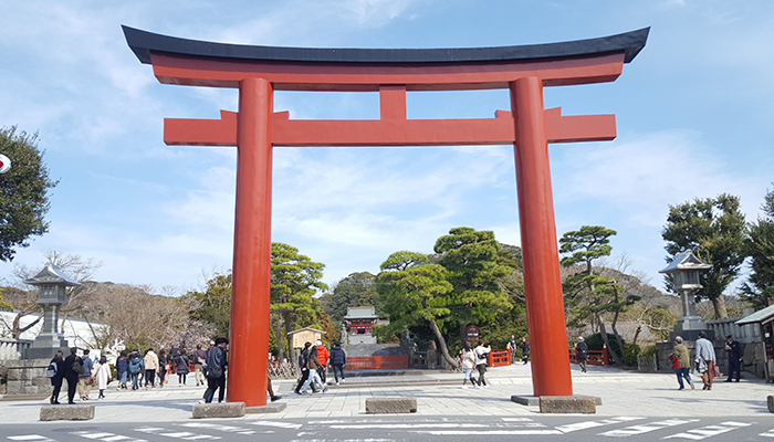 続いて鶴岡八幡宮1：鳥居