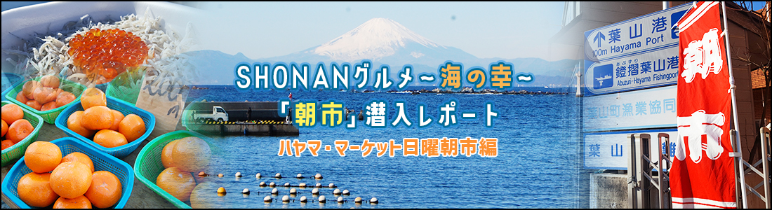 ヘッダsー画像：SHONANグルメ～海の幸～「朝市」潜入レポート