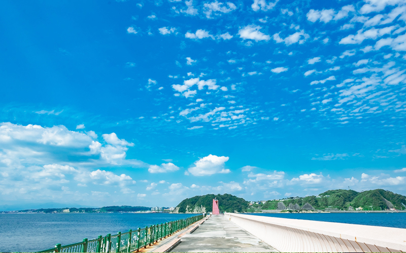 葉山港ビジターバースから見る海