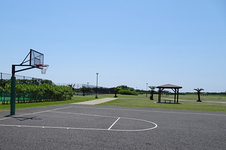 柳島しおさい公園