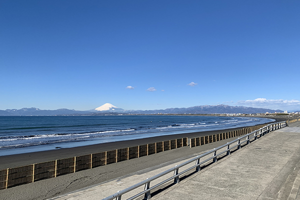 湘南海岸公園1