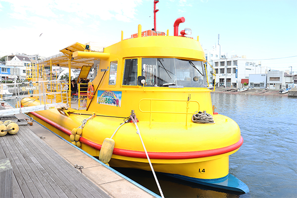 にじいろさかな号2