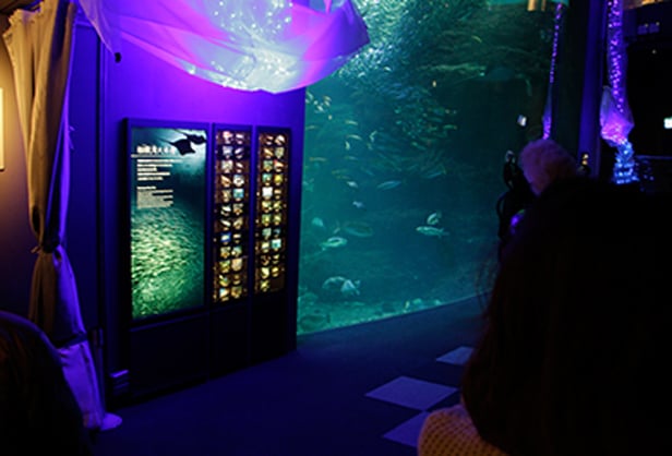 간판 '新江之岛水族馆