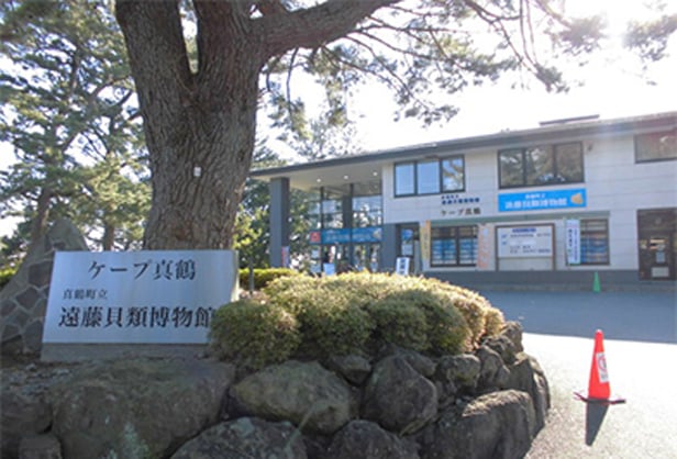 看着左边的海，迈入森林深处...