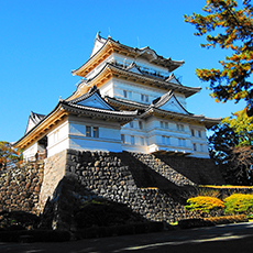 小田原城天守阁1