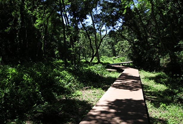 三浦半島 - 充分享受大自然