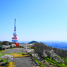 湘南平（高麗山公園）3